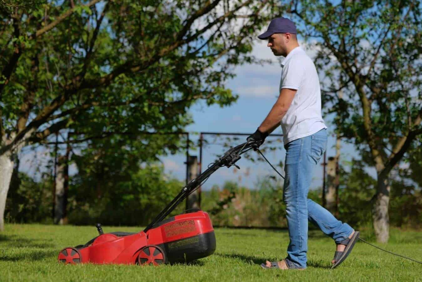 Sound Advice: Protecting Your Hearing During Yard Work